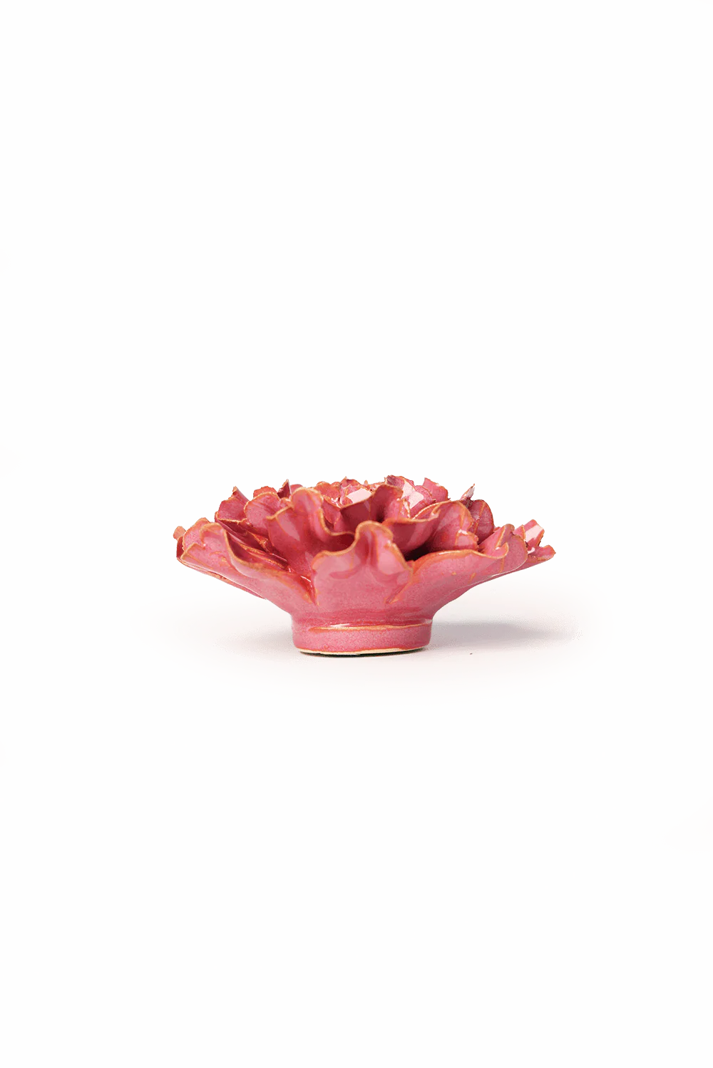 Blush Pink Tundra Carnation - Image 2