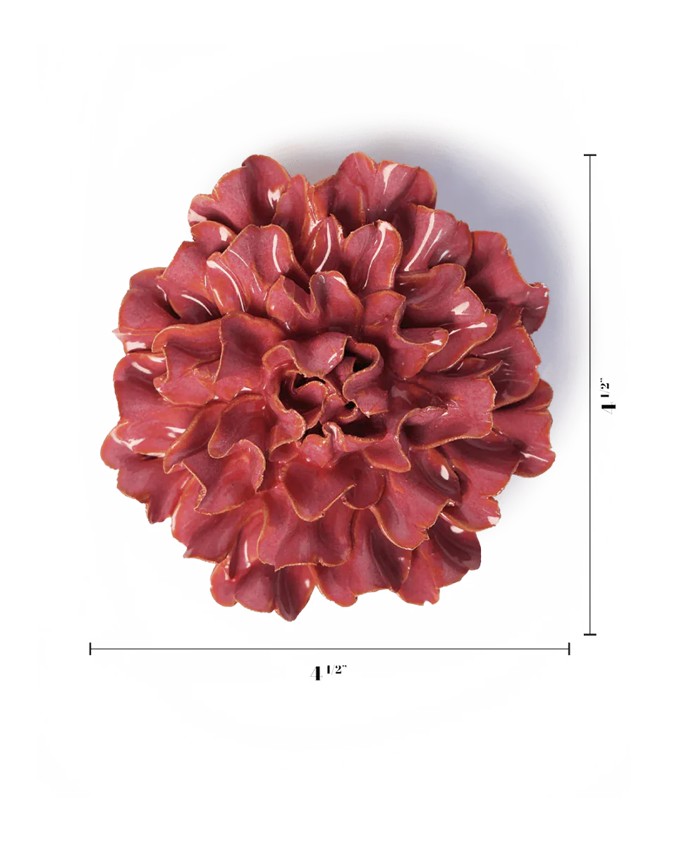Blush Pink Tundra Carnation - Image 3