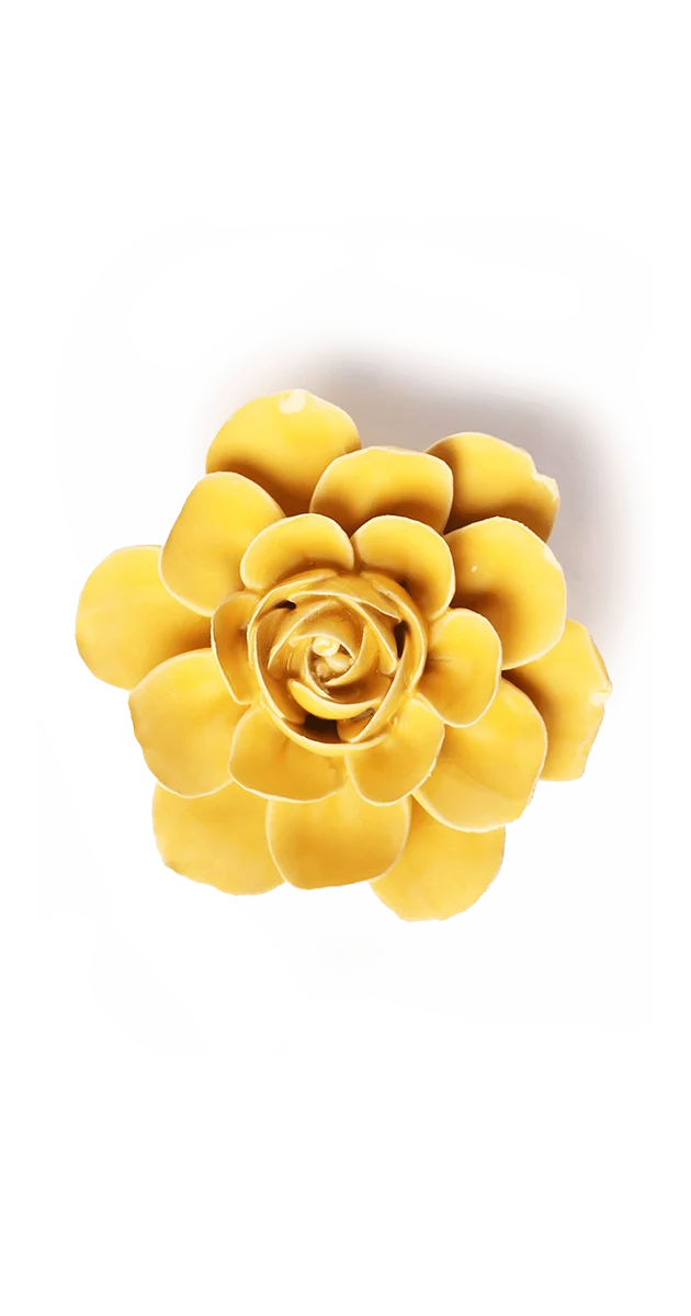 Burnt Yellow Begonia