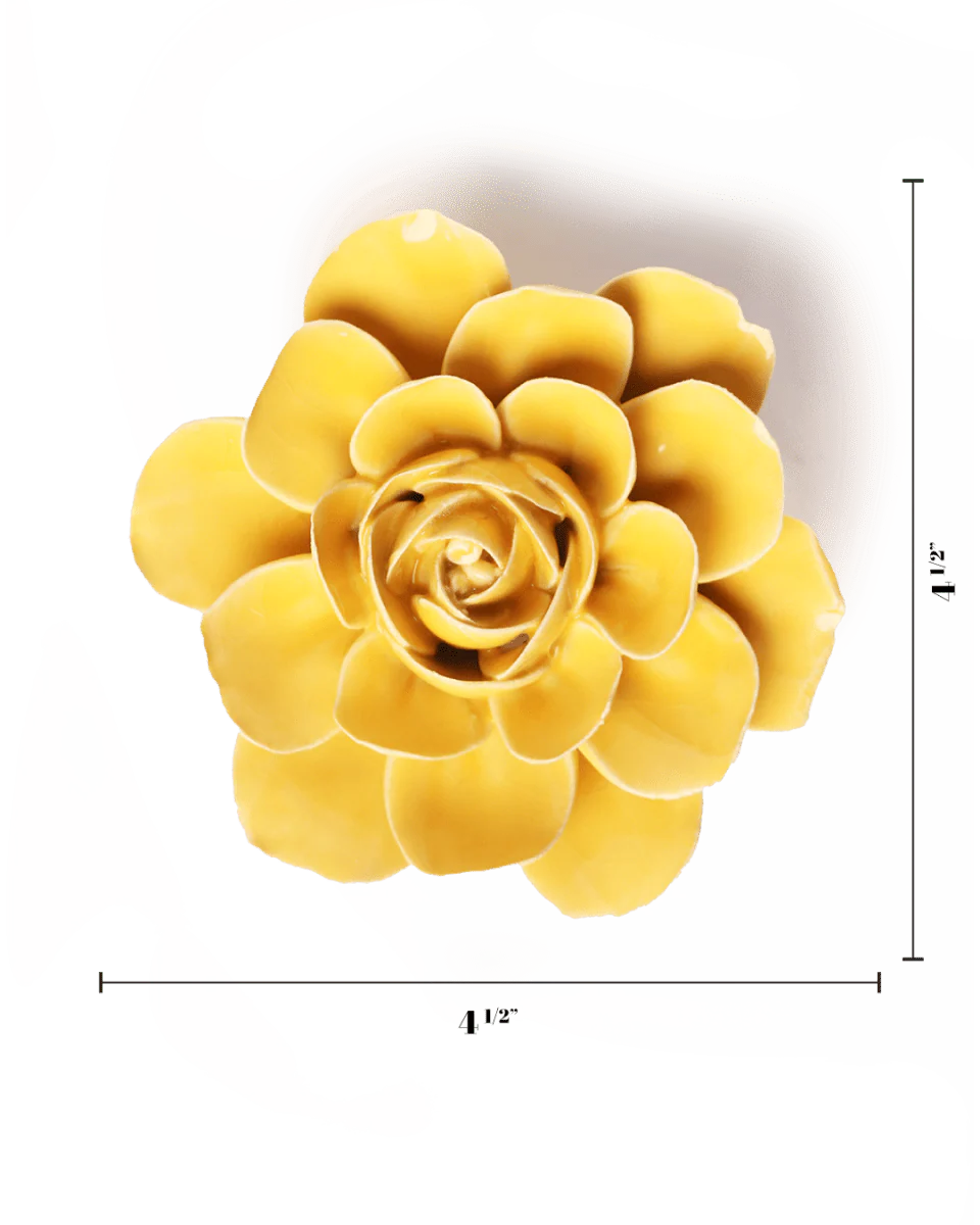 Burnt Yellow Begonia - Image 3