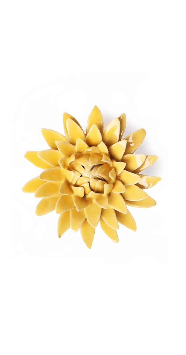 Burnt Yellow Strawflower