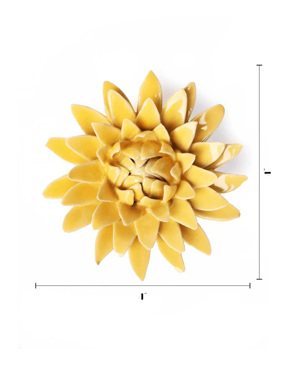 Burnt Yellow Strawflower - Image 3