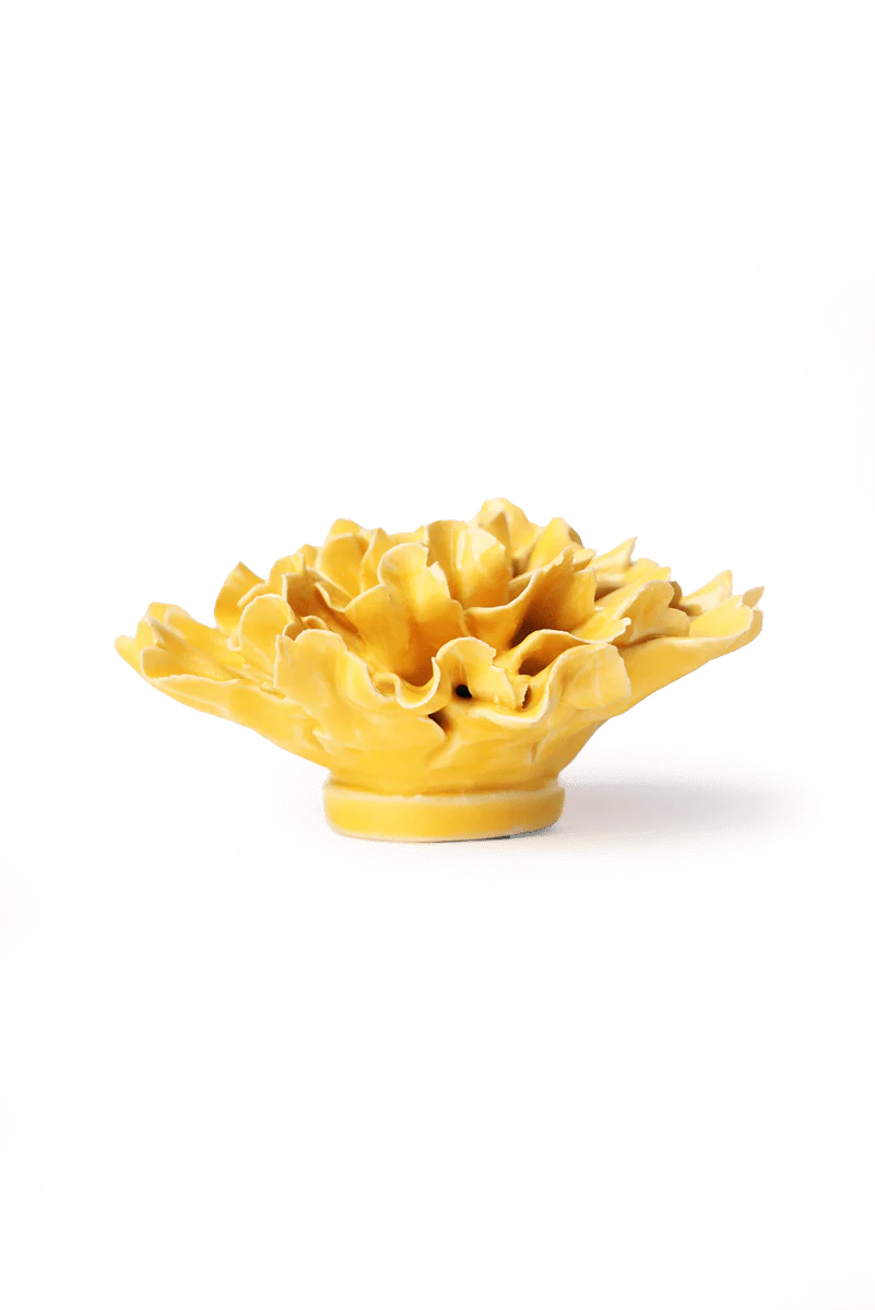 Burnt Yellow Tundra Carnation - Image 2