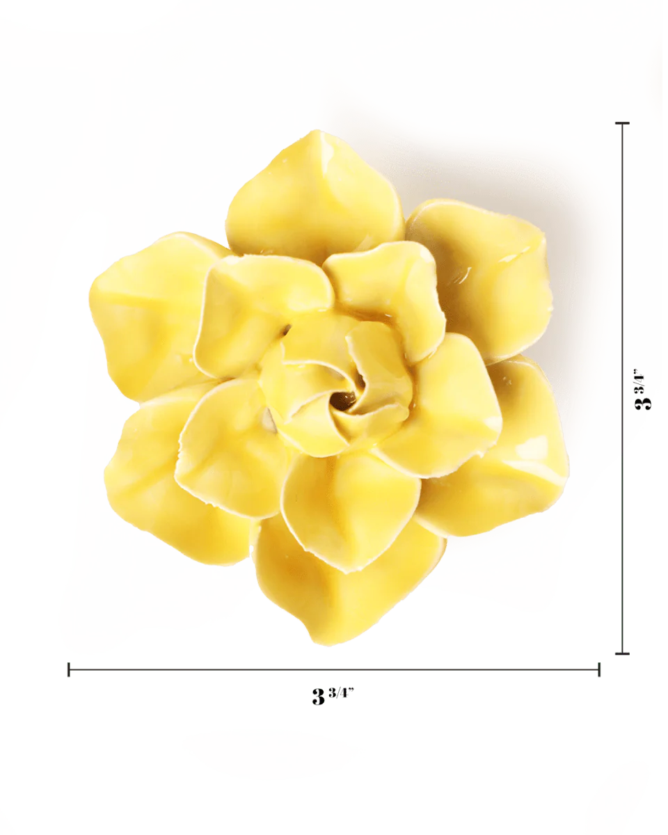 Buttercup Yellow Daffodil - Image 3