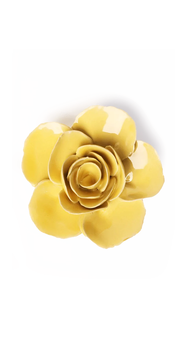 Buttercup Yellow Elegance Ranunculus