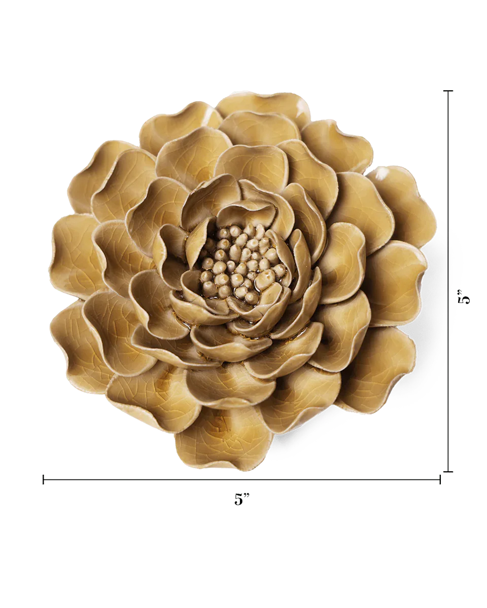 Caramel Charm Peony - Image 3