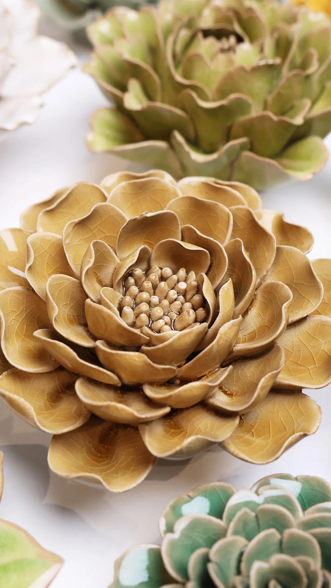 Caramel Charm Peony - Image 4