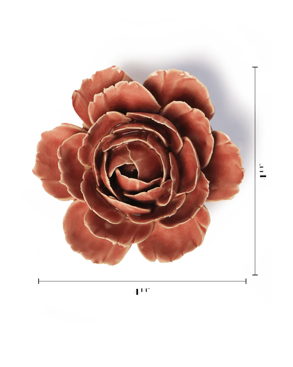 Champagne Pink English Rose - Image 3