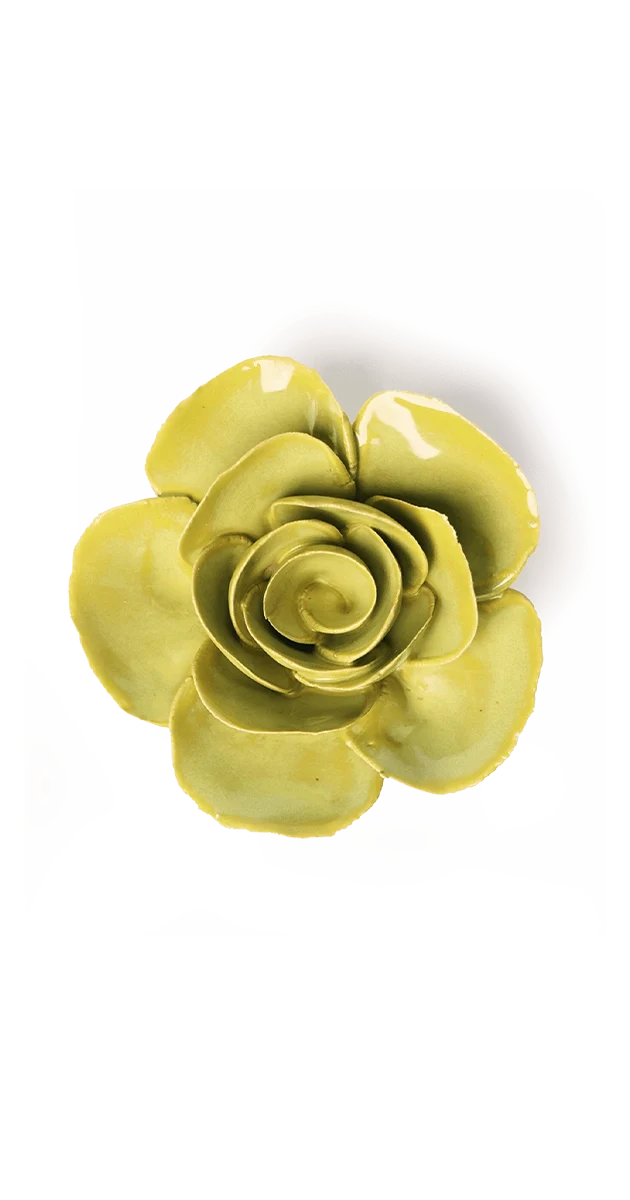 Chartreuse Elegance Ranunculus