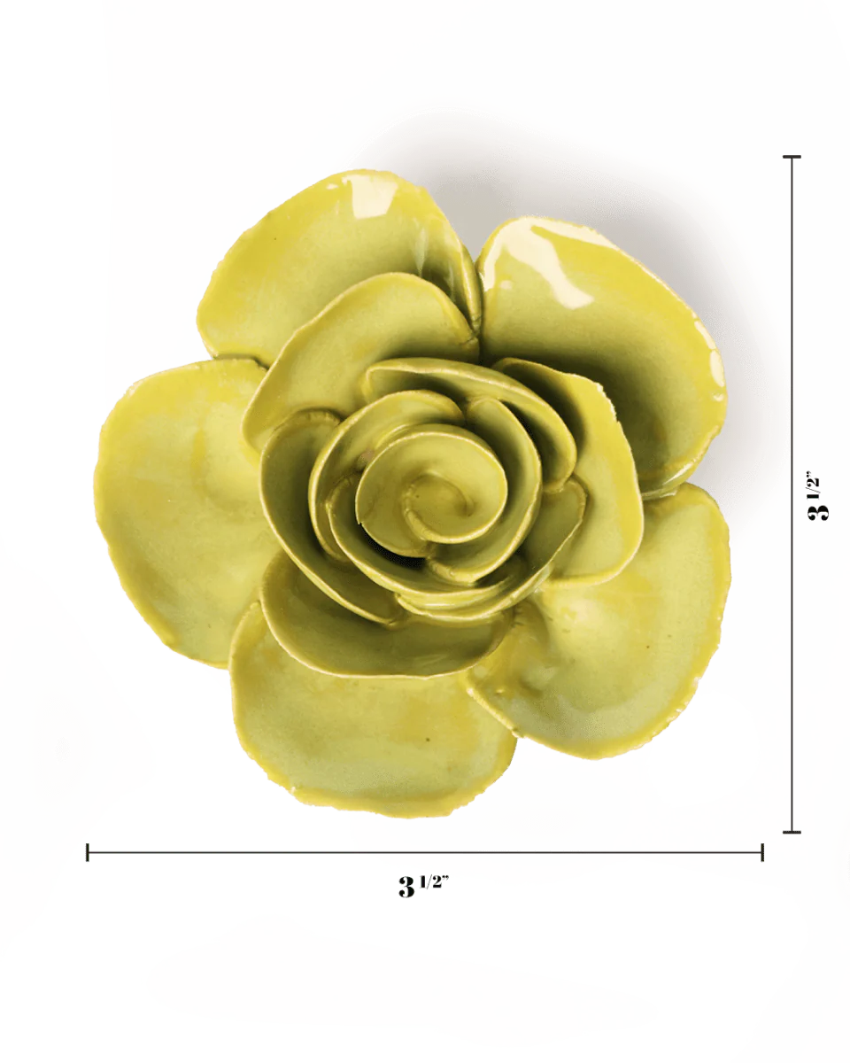 Chartreuse Elegance Ranunculus - Image 3