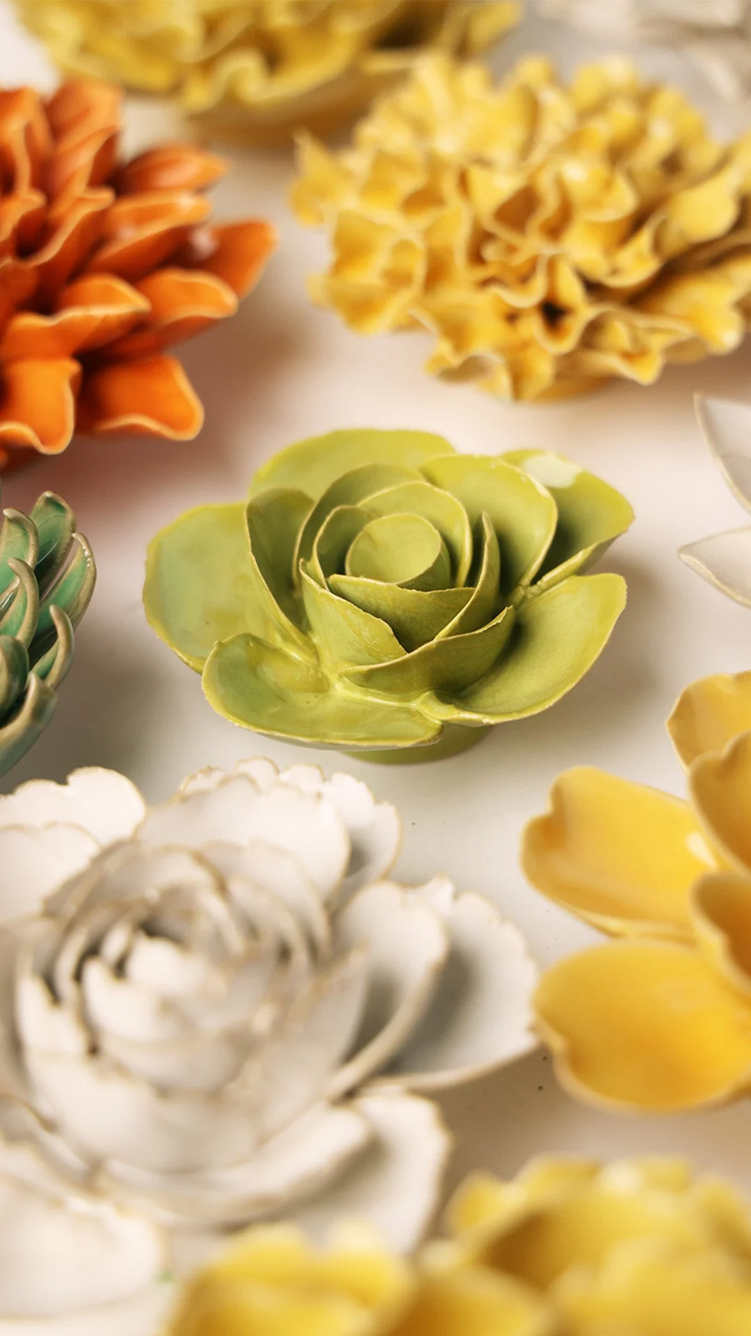 Chartreuse Elegance Ranunculus - Image 4
