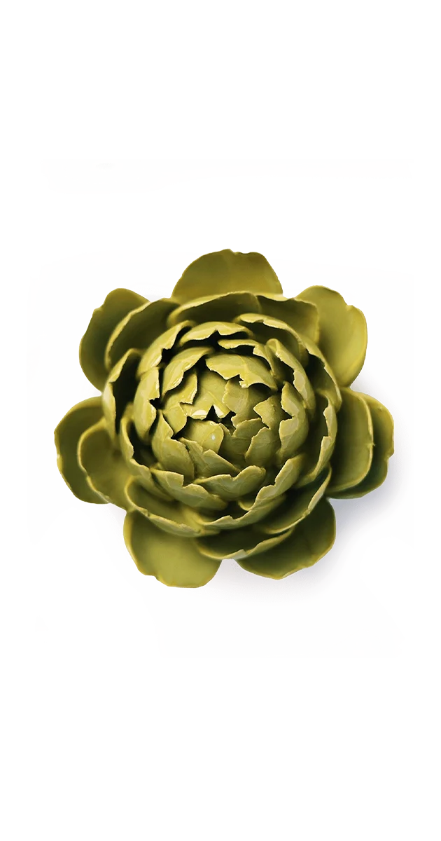 Chartreuse Queen Protea