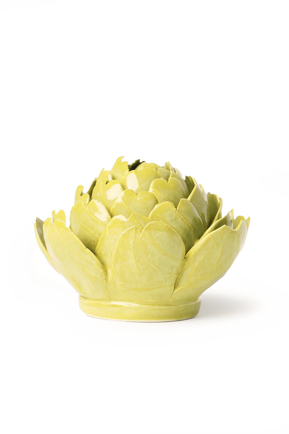 Chartreuse Queen Protea - Image 2