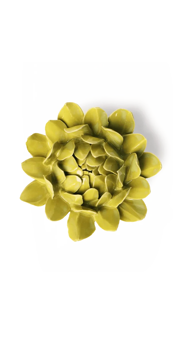 Chartreuse Sugarbush Protea