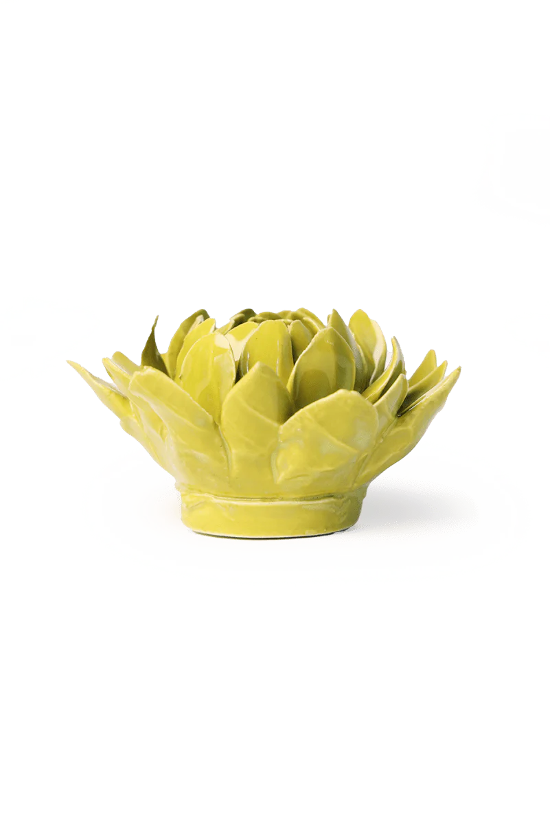 Chartreuse Sugarbush Protea - Image 2