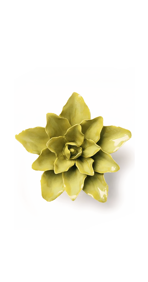Chartreuse Tiger Lily