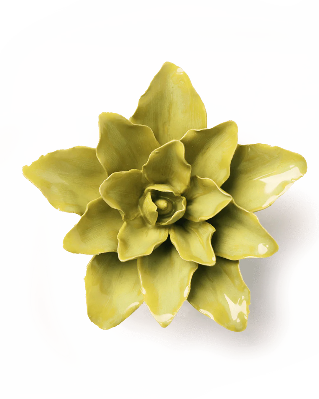Chartreuse Tiger Lily - Image 2