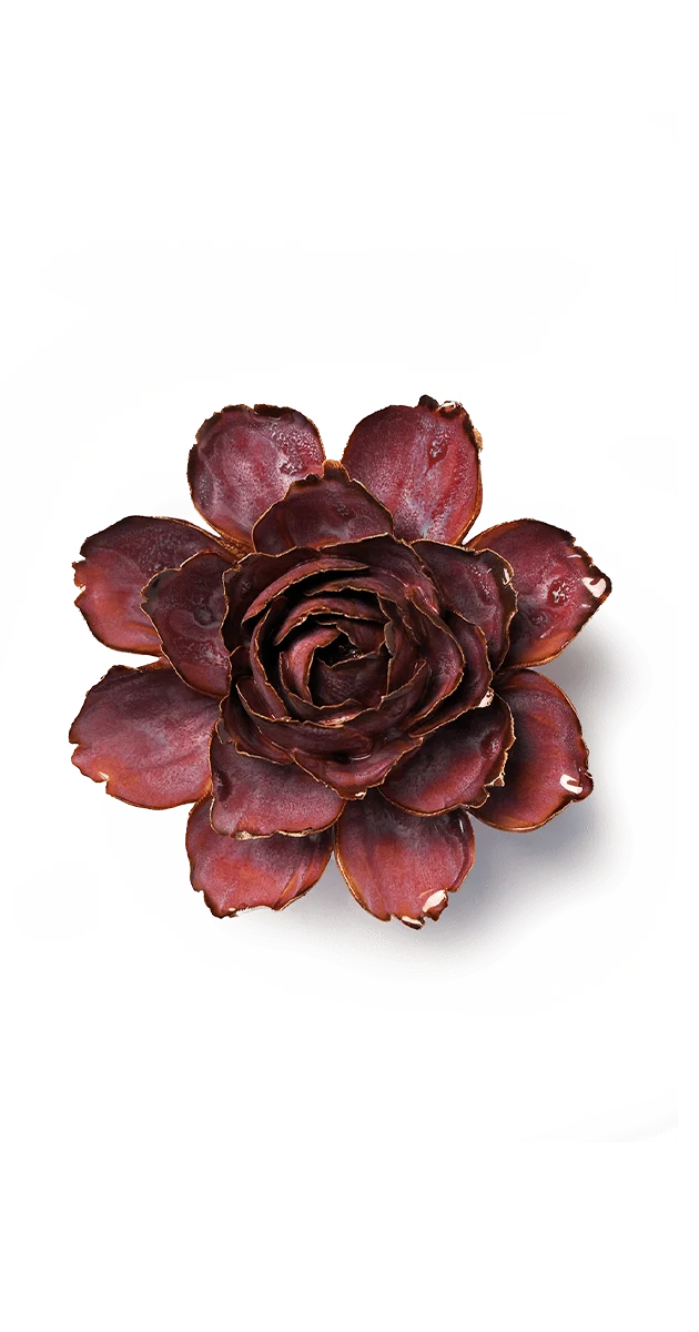 Dewberry Camellia