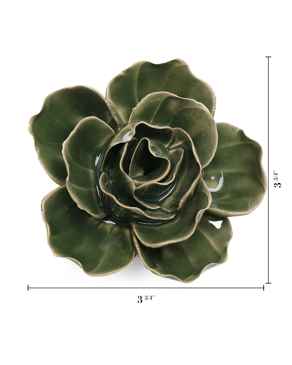 Fir Green Butterfly Ranunculus - Image 3