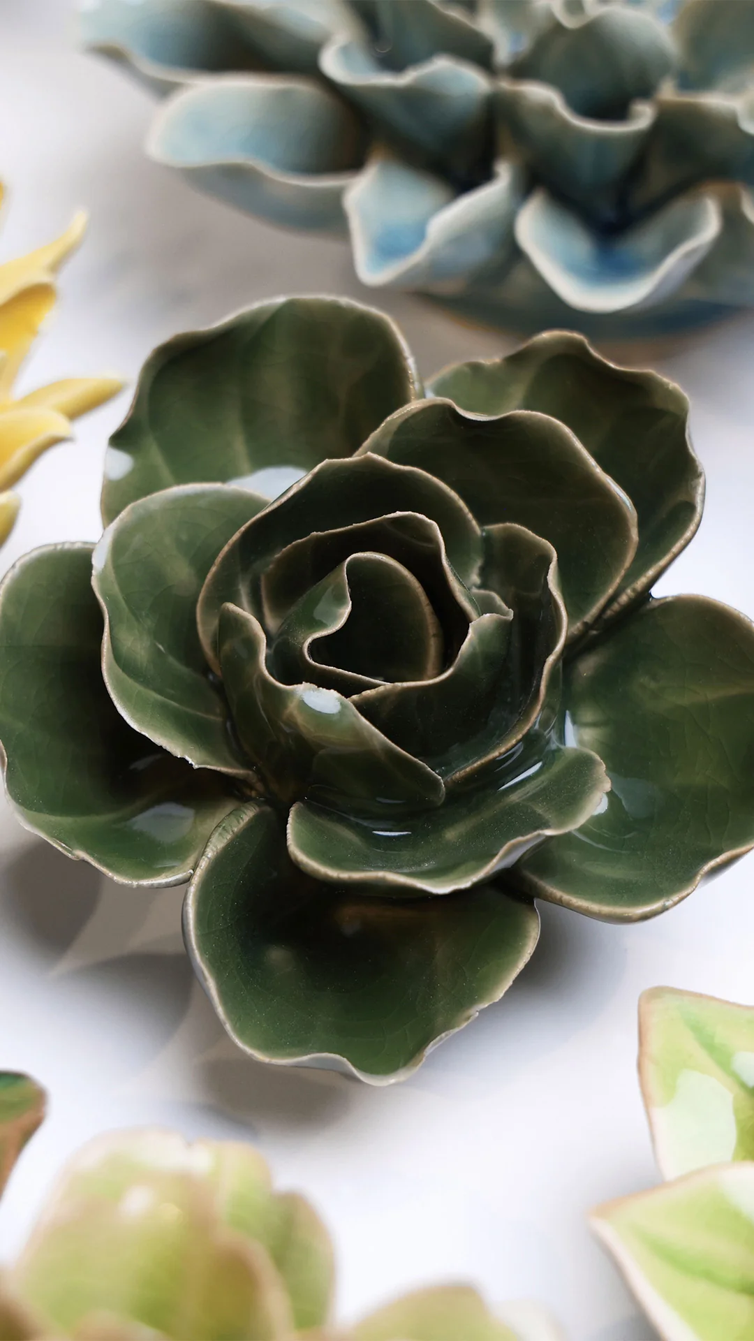 Fir Green Butterfly Ranunculus - Image 4