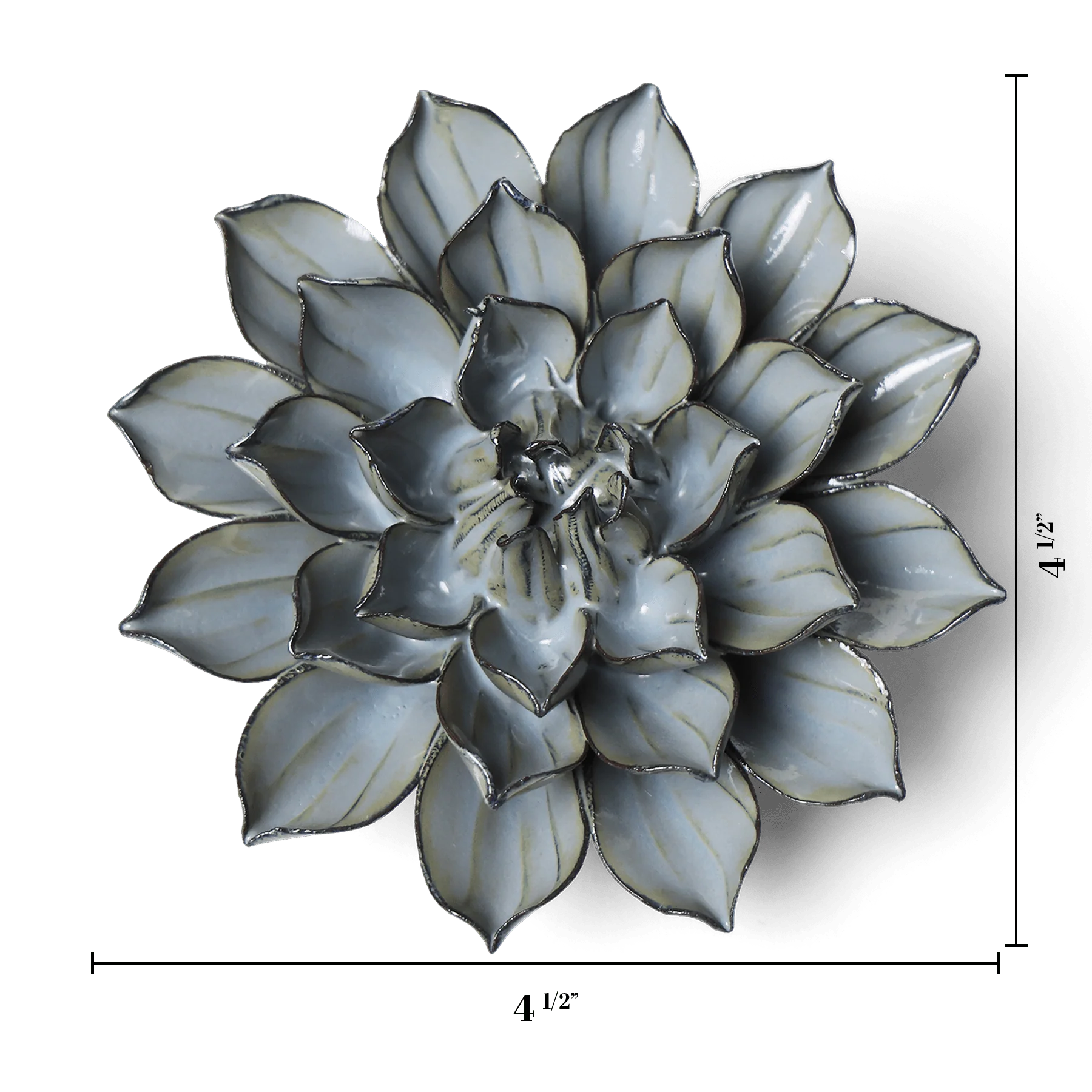 Grey Green Monch Aster - Image 3