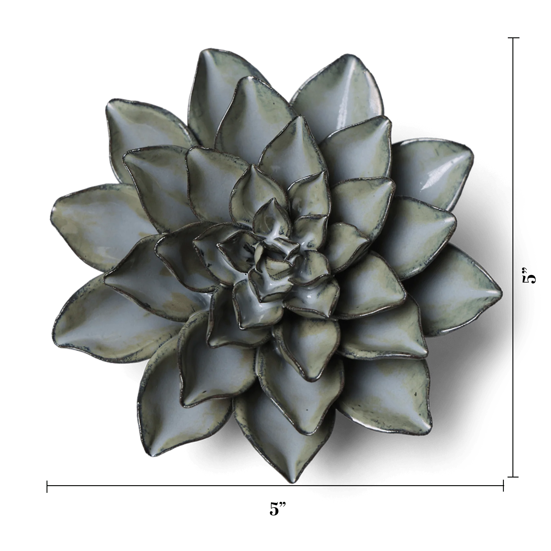 Grey Goyet Azalea - Image 3