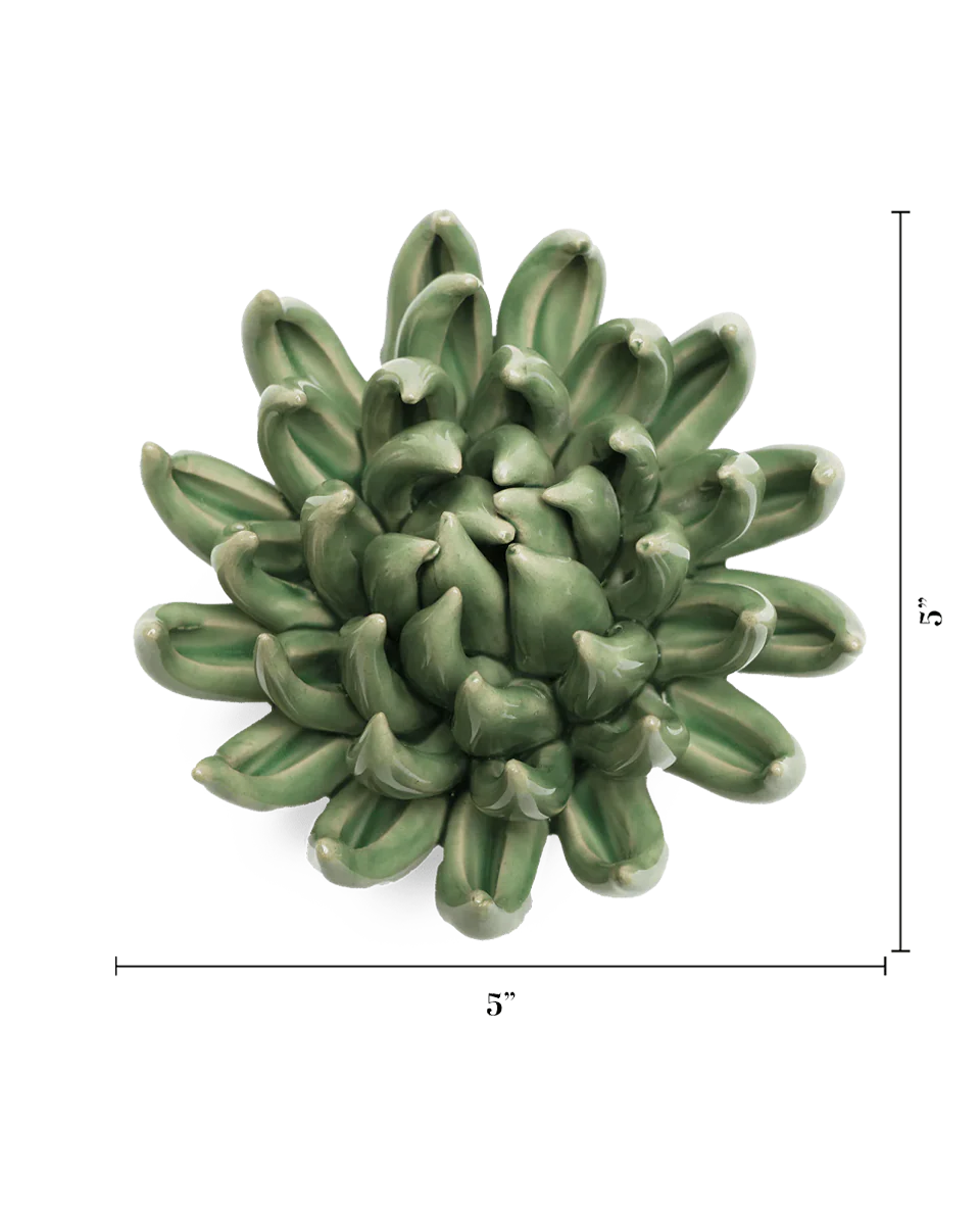 Jade Green Succulent - Image 3