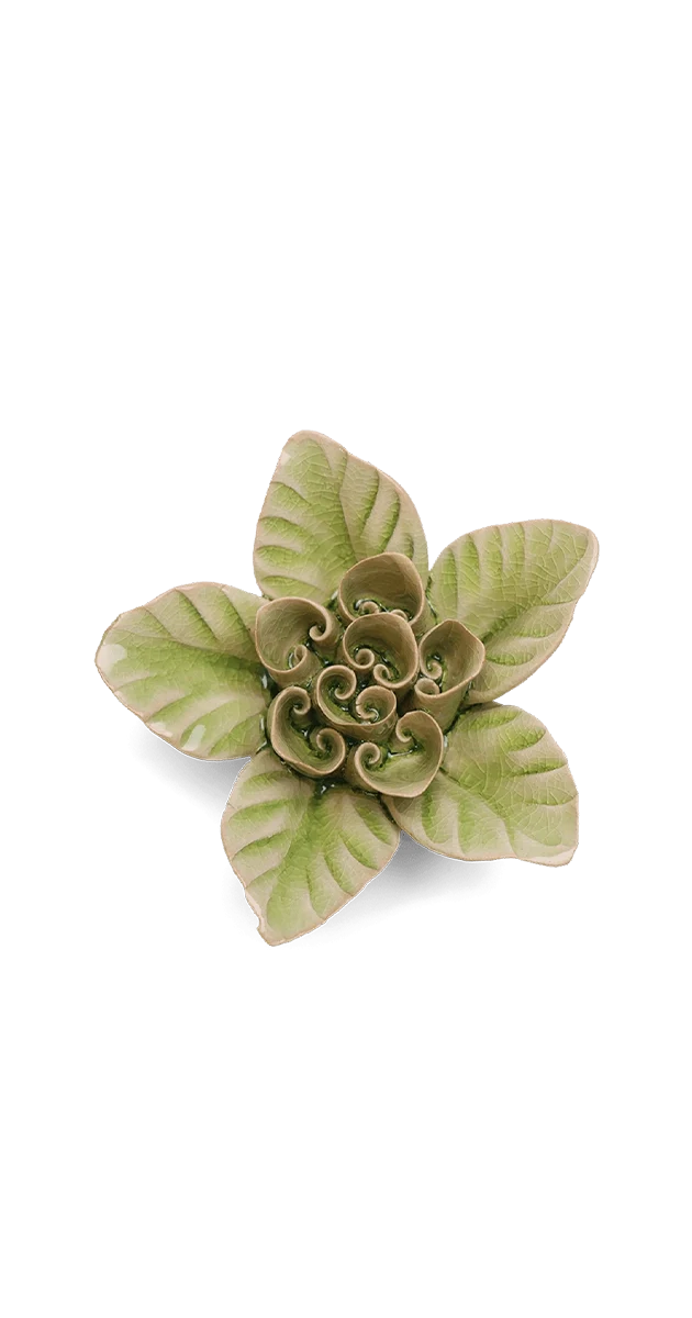 Peridot Green Maiden Lotus