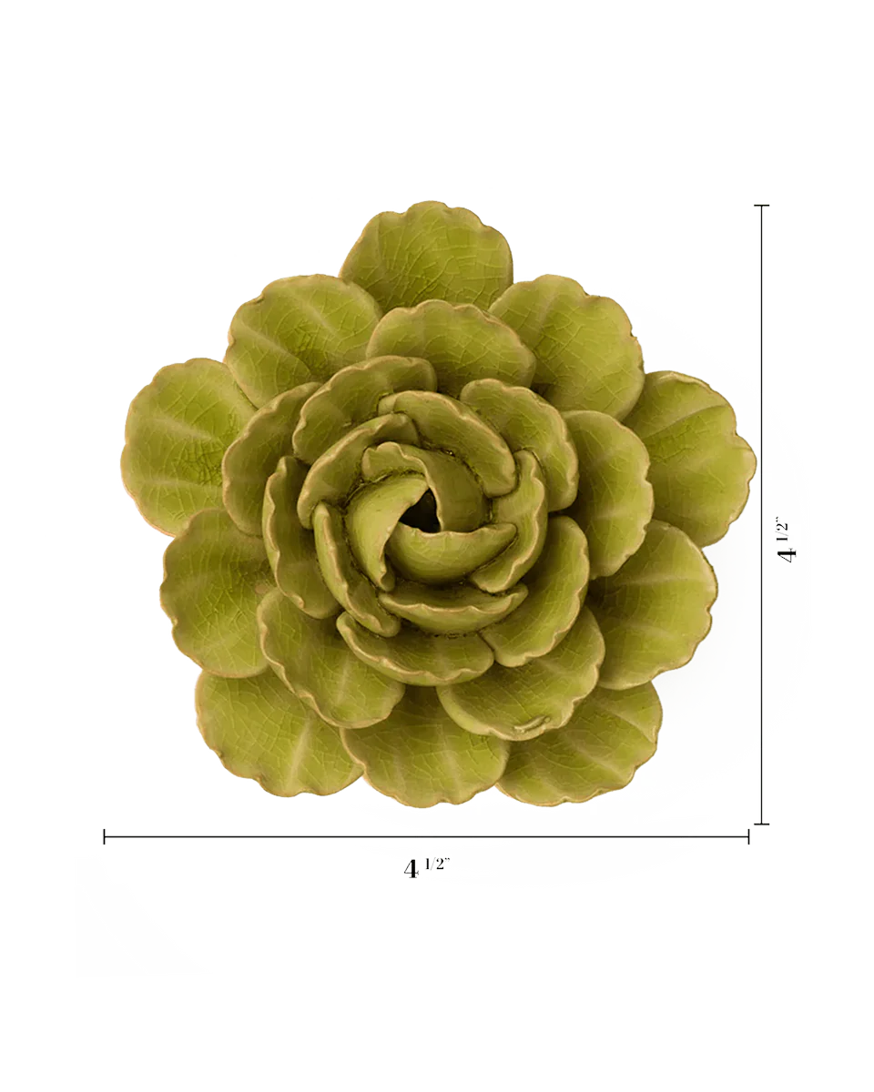 Peridot Keiko Peony - Image 3