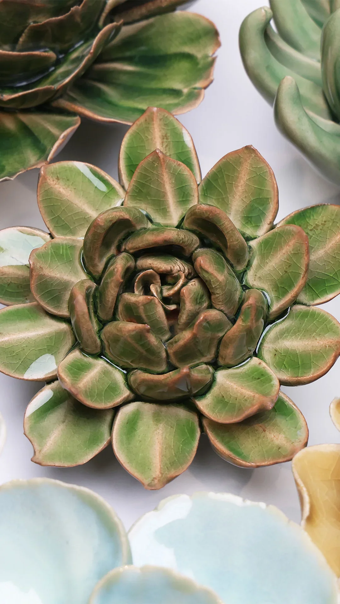 Avocado Green Firecracker Succulent - Image 4