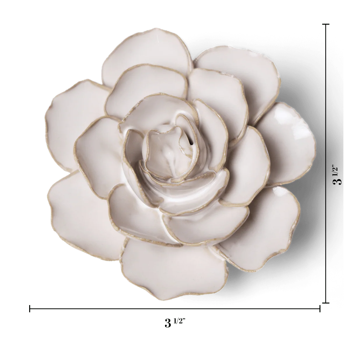 Ivory Amandine Ranunculus - Image 3