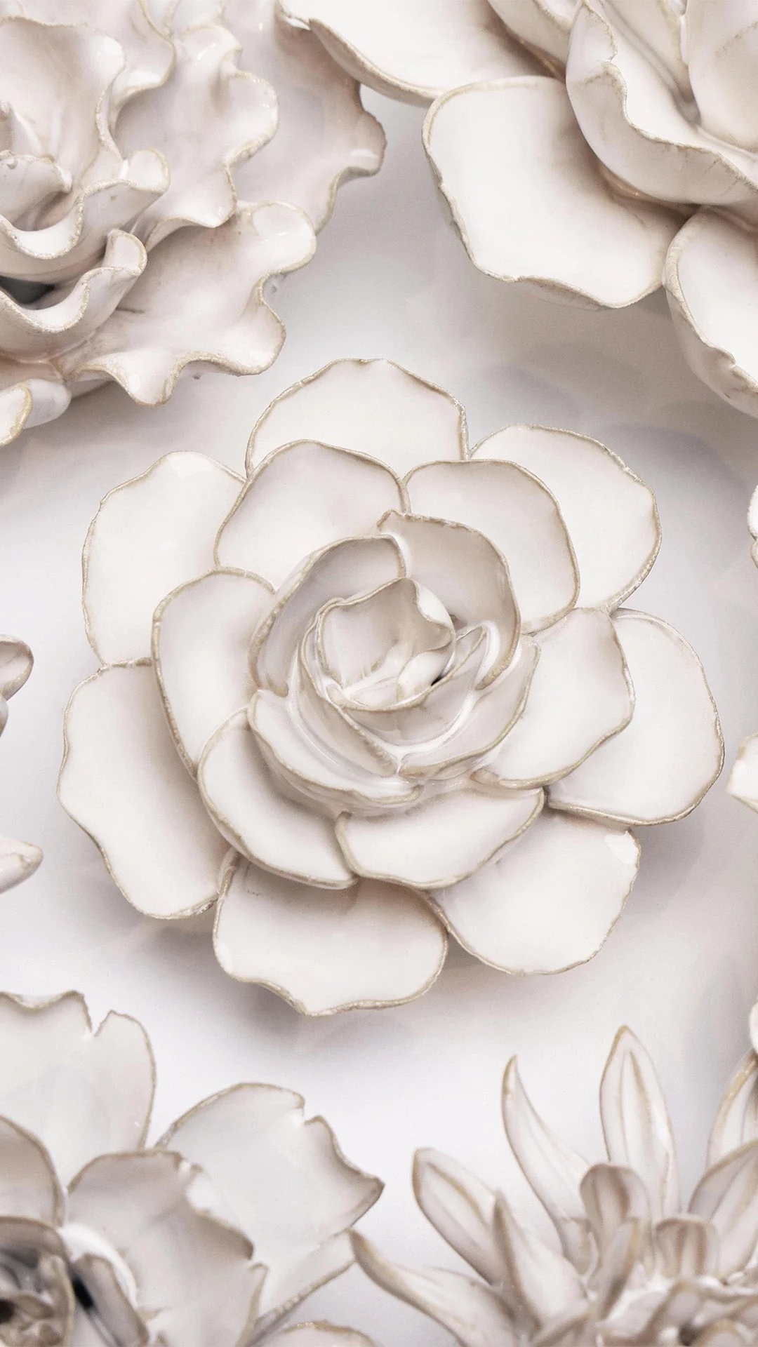 Ivory Amandine Ranunculus - Image 4