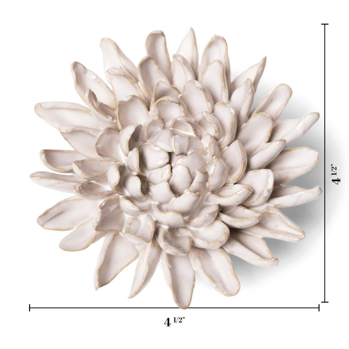 Ivory Chrysanthemum - Image 3