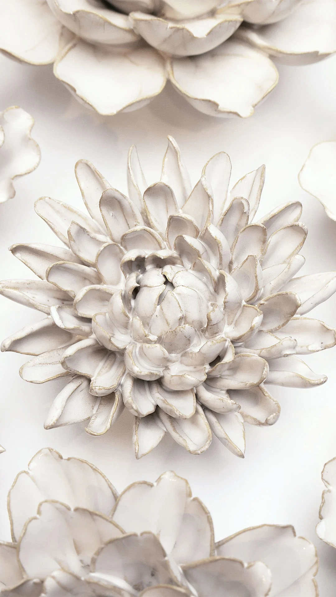 Ivory Chrysanthemum - Image 4