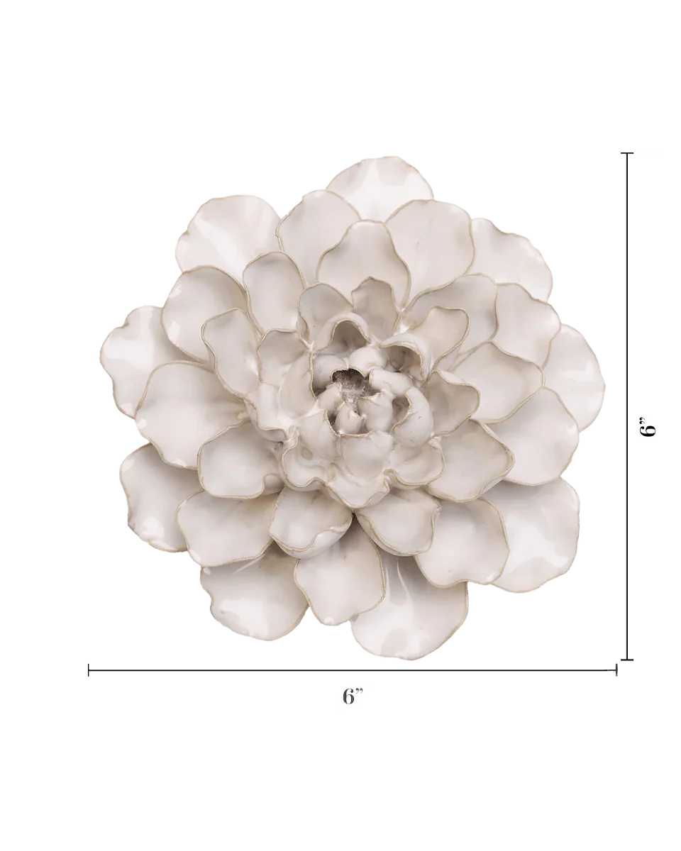 Ivory European Water Lily - Image 3