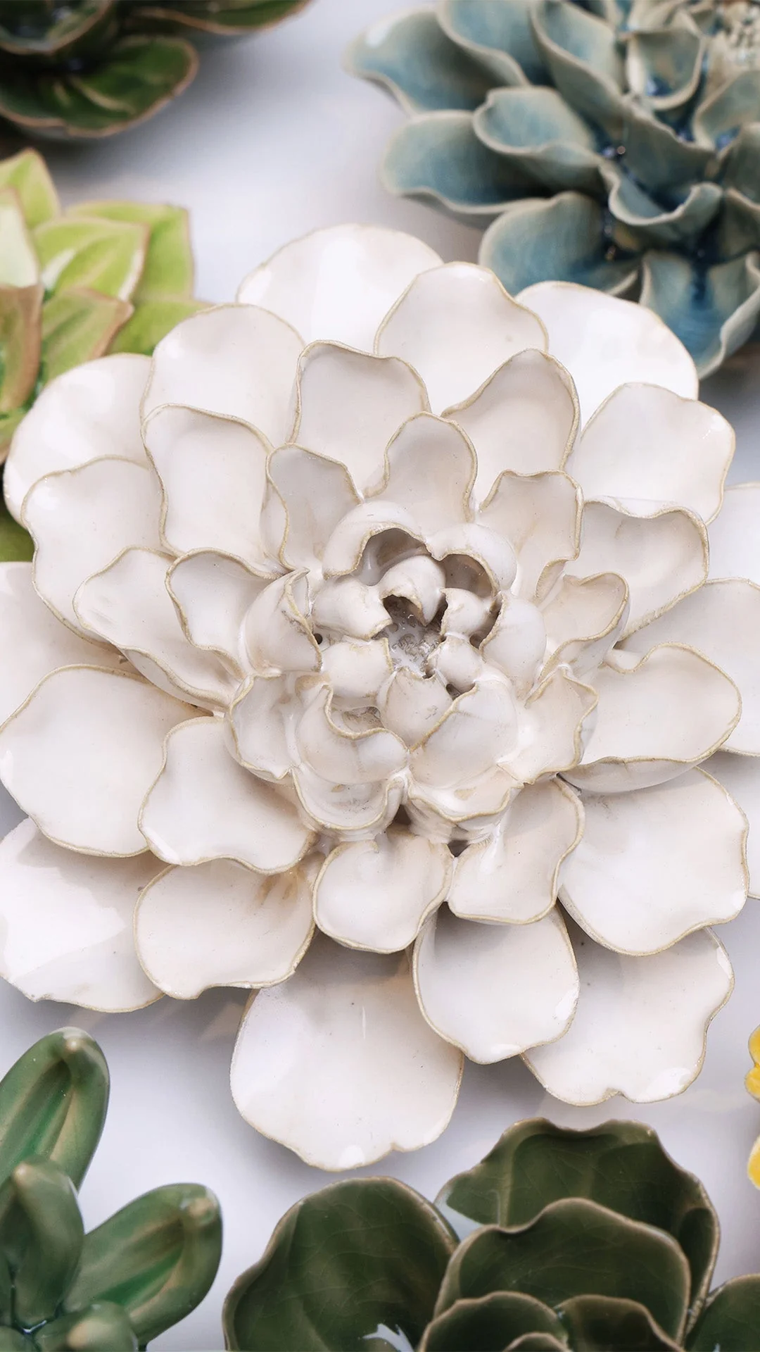 Ivory European Water Lily - Image 4