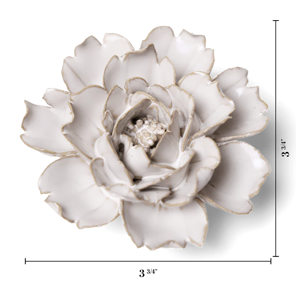 Ivory Rose - Image 3