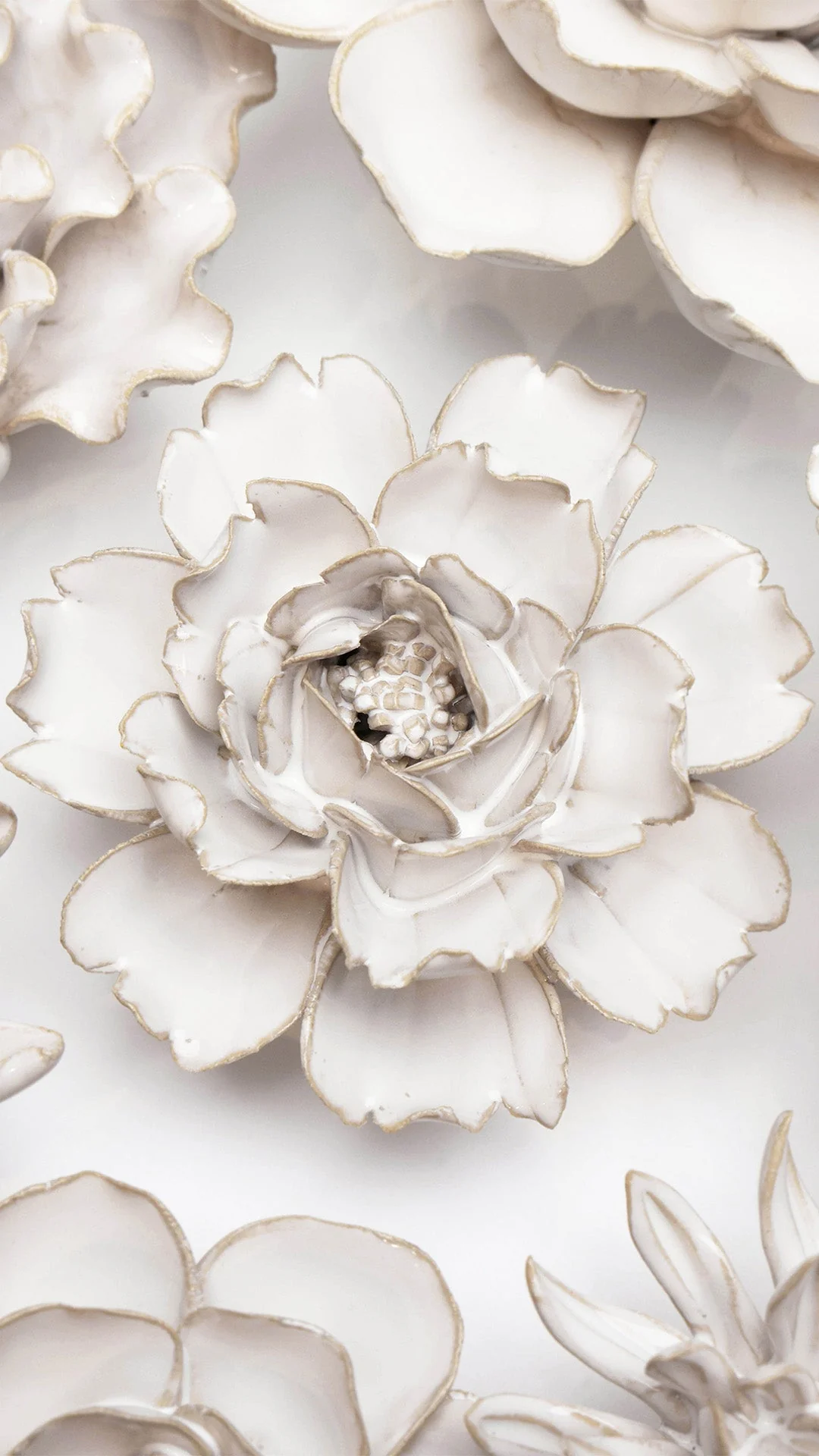 Ivory Rose - Image 4