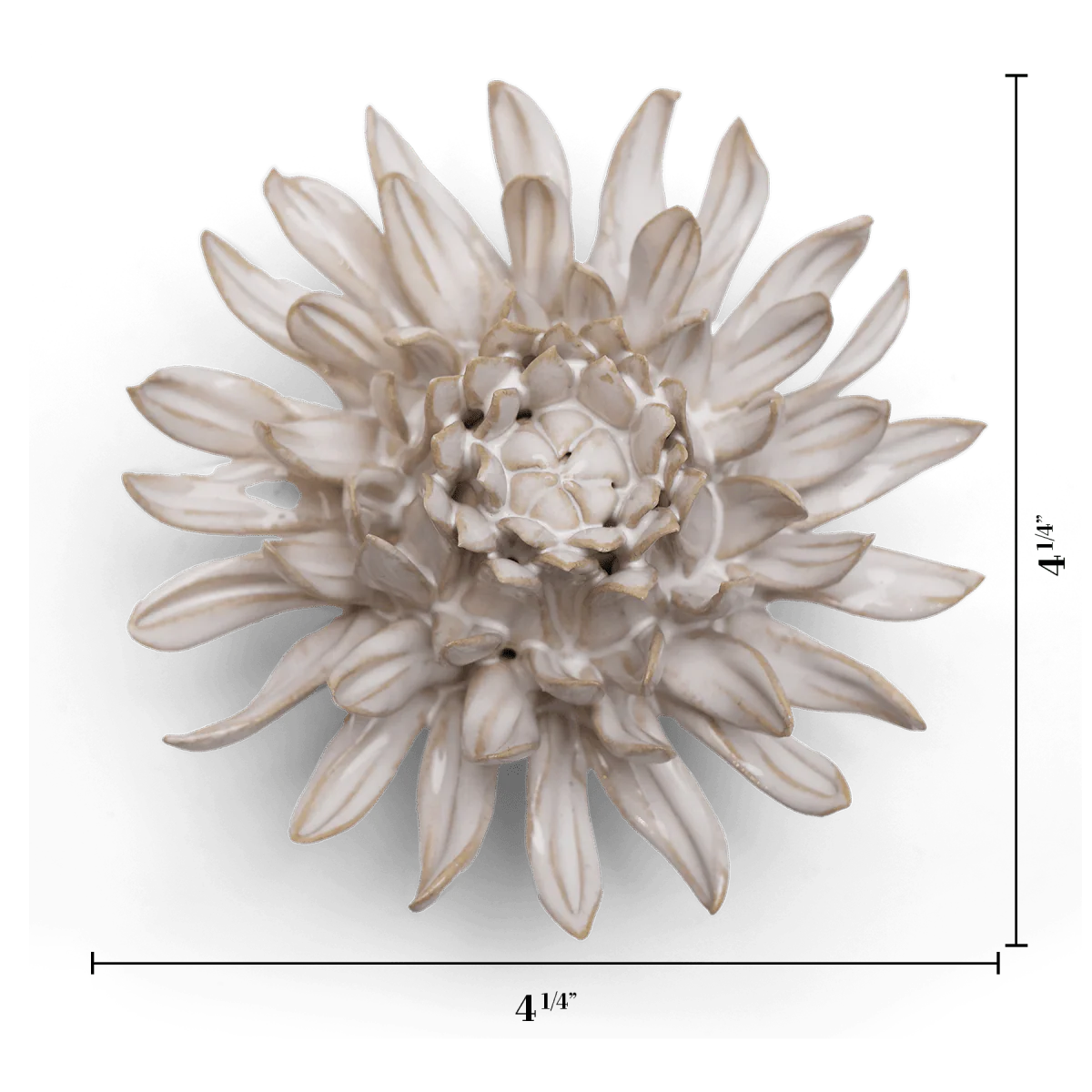 Ivory Spider Mum - Image 3