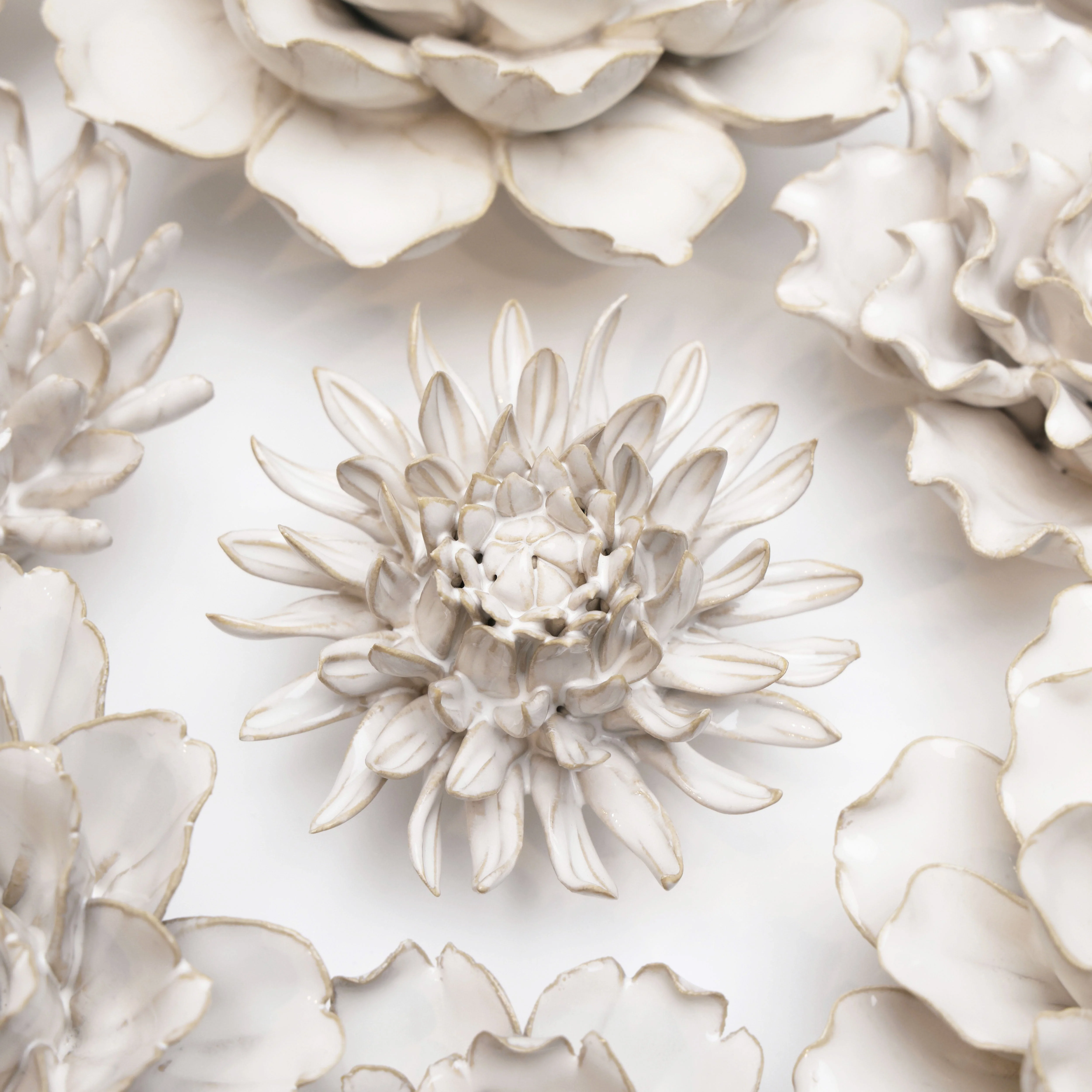 Ivory Spider Mum - Image 4