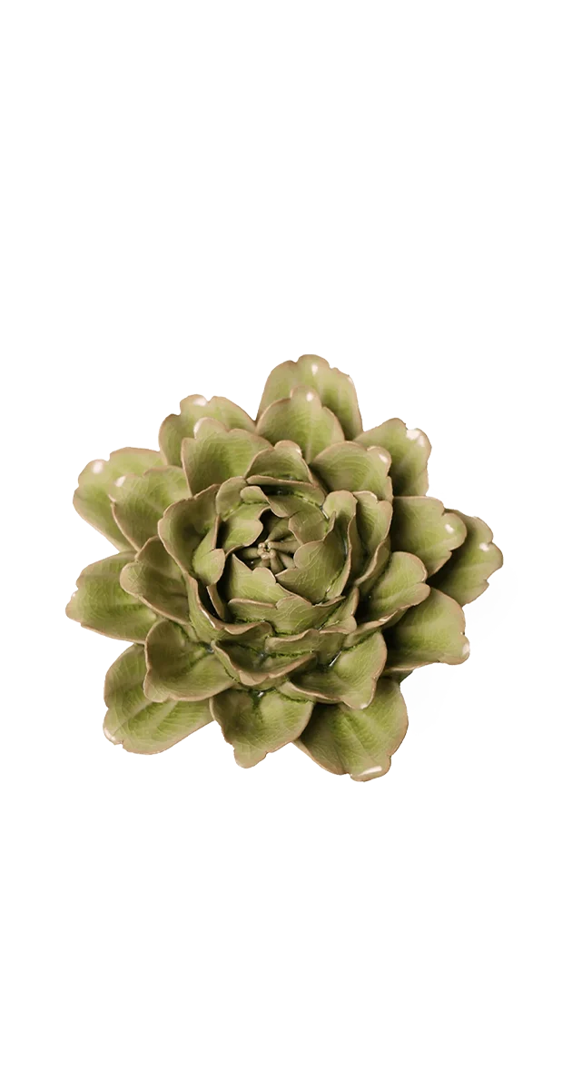 Peridot Comanche Peony