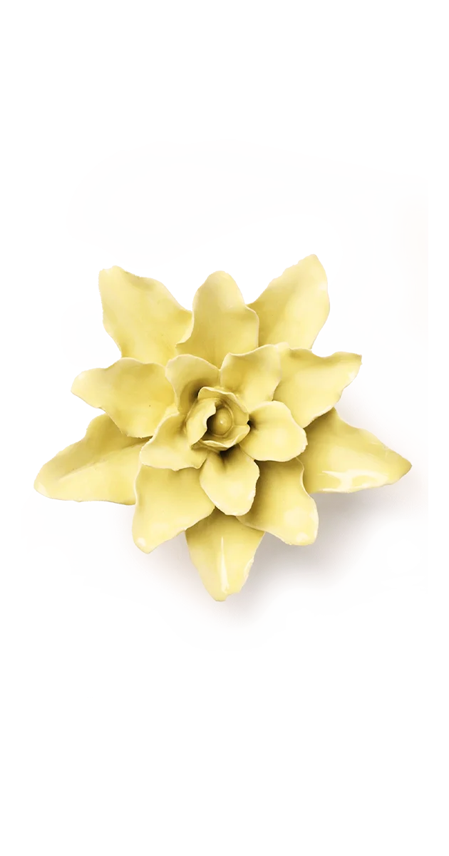 Lime Yellow Tiger Lily