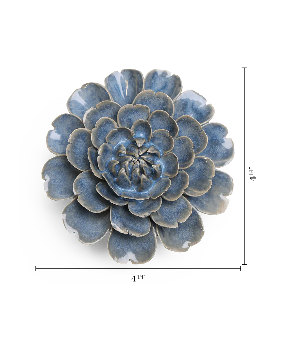 Fancy Blue Fiesta Marigold - Image 3