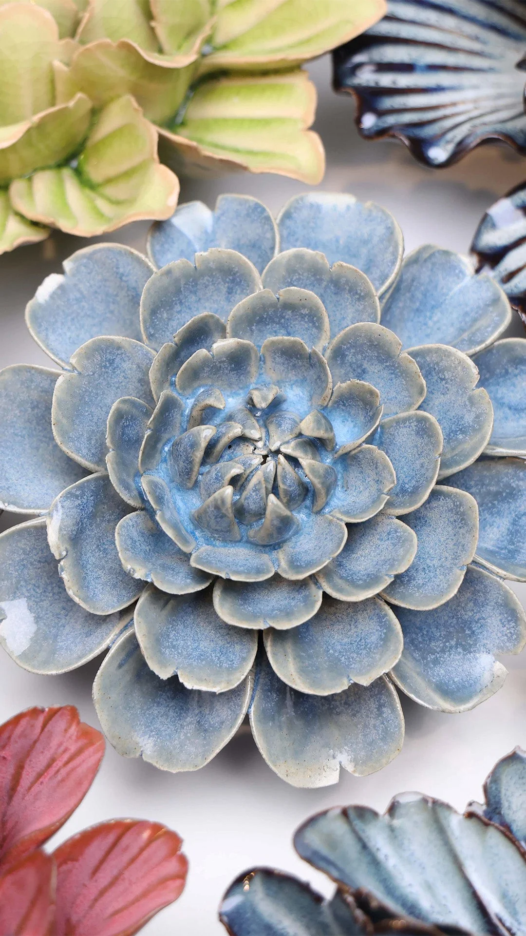 Fancy Blue Fiesta Marigold - Image 4
