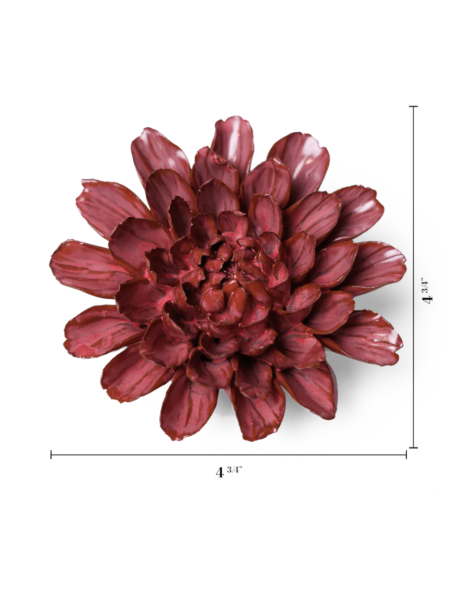 Blush Pink Star Dahlia - Image 3