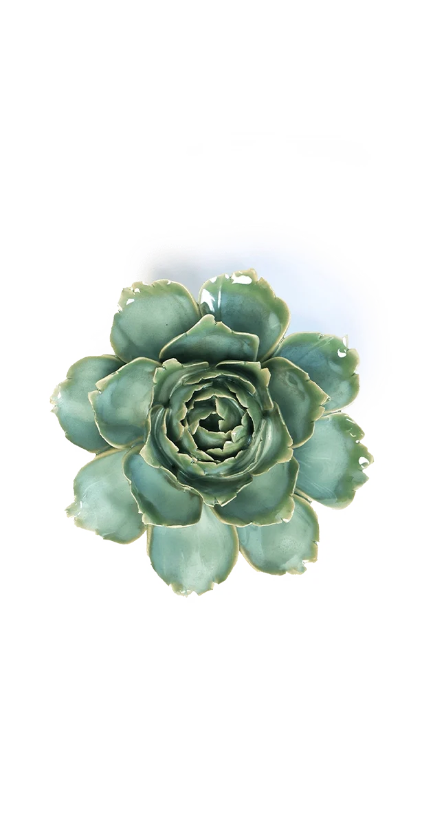 Milk Teal Camellia