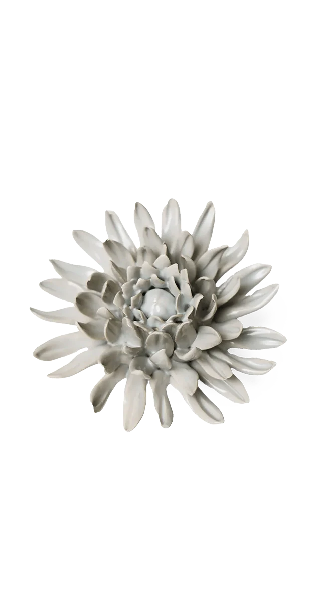 Panache Green Spider Mum