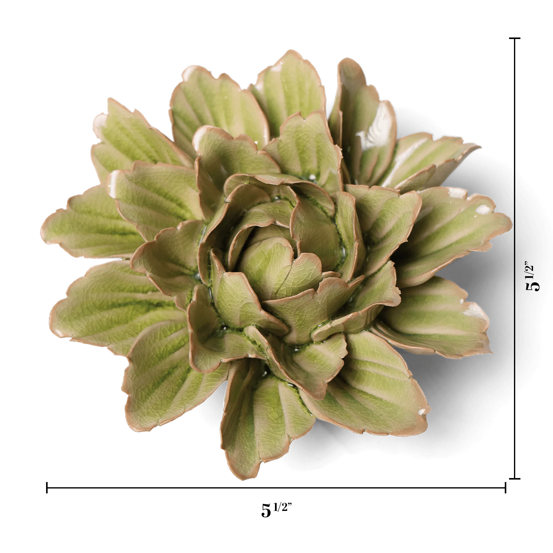 Peridot Sorbet Peony - Image 3