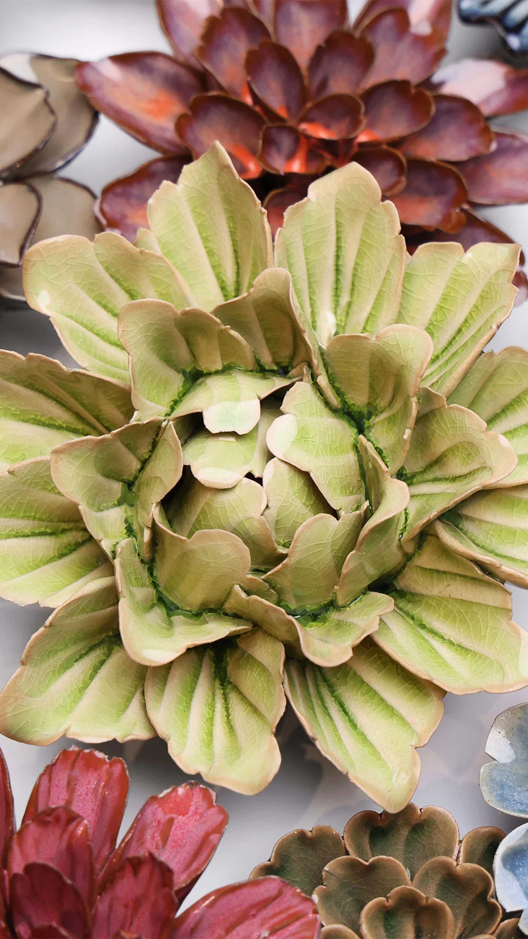Peridot Sorbet Peony - Image 4