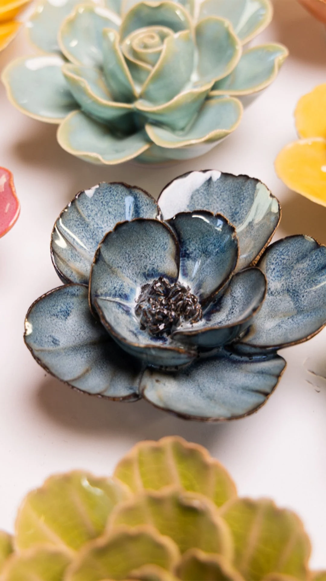 Navy Poppy - Image 4